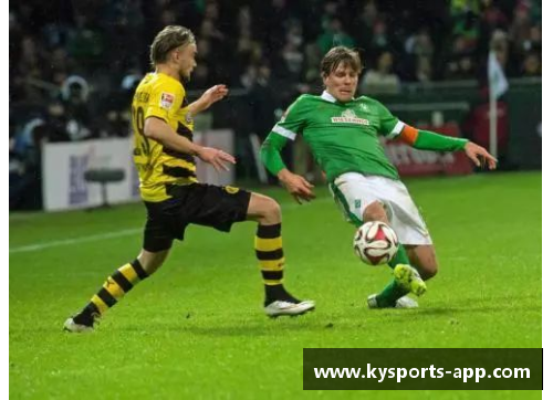 足球球员类型解析：职业、业余、业内、业外、新秀、老将……